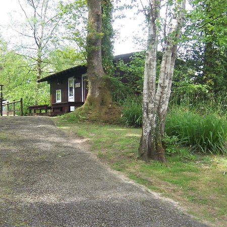 Honeysuckle Lodge Set In A Beautiful 24 Acre Woodland Holiday Park Newcastle Emlyn Buitenkant foto