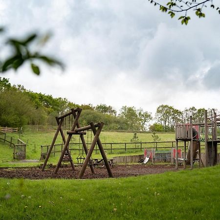 Honeysuckle Lodge Set In A Beautiful 24 Acre Woodland Holiday Park Newcastle Emlyn Buitenkant foto