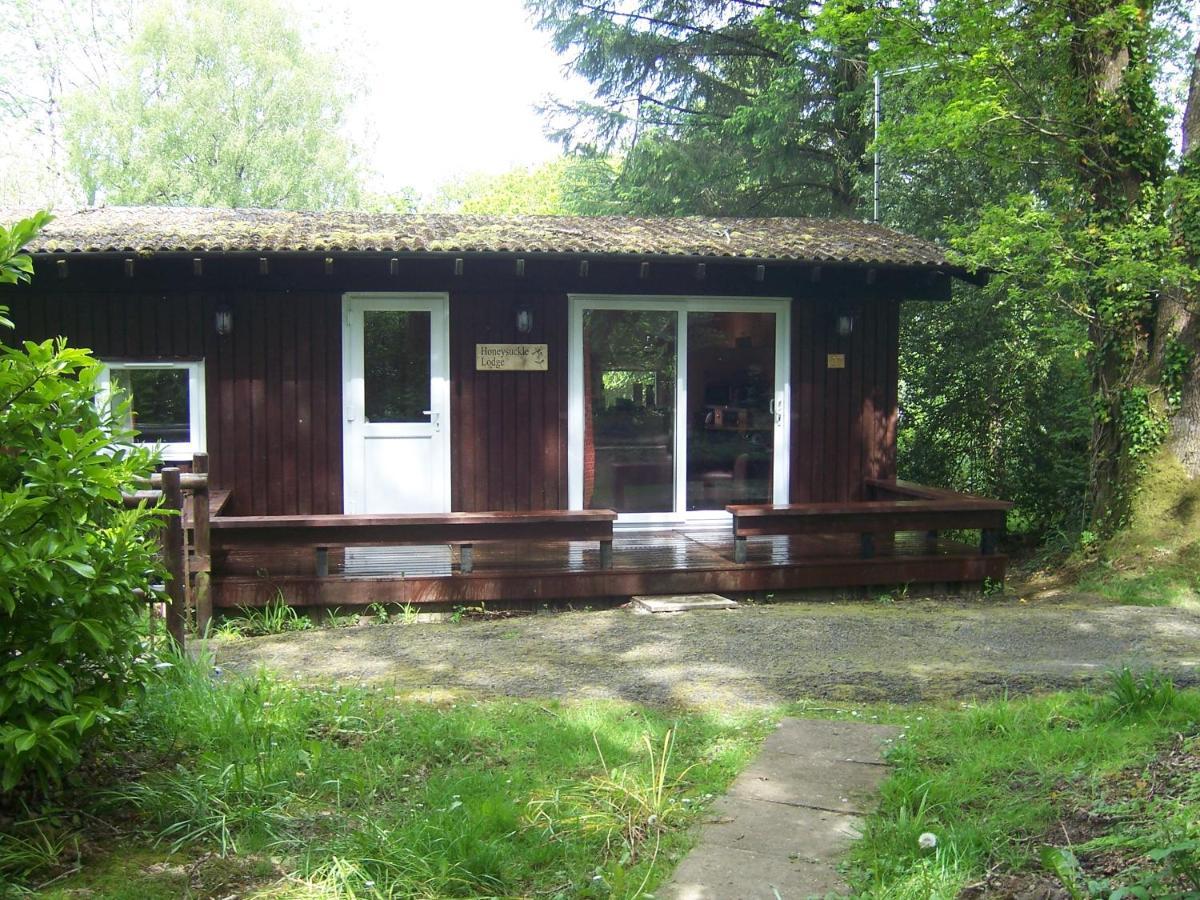 Honeysuckle Lodge Set In A Beautiful 24 Acre Woodland Holiday Park Newcastle Emlyn Buitenkant foto