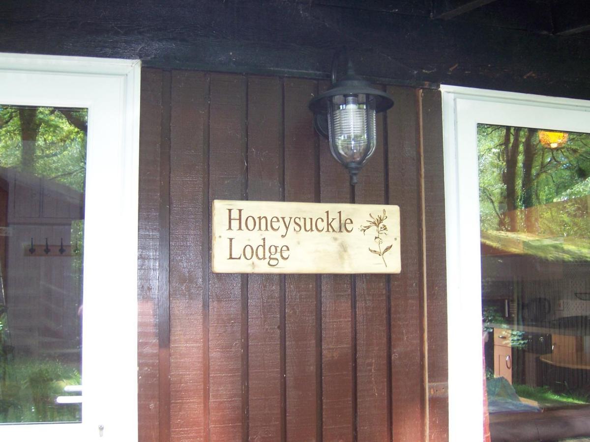 Honeysuckle Lodge Set In A Beautiful 24 Acre Woodland Holiday Park Newcastle Emlyn Buitenkant foto