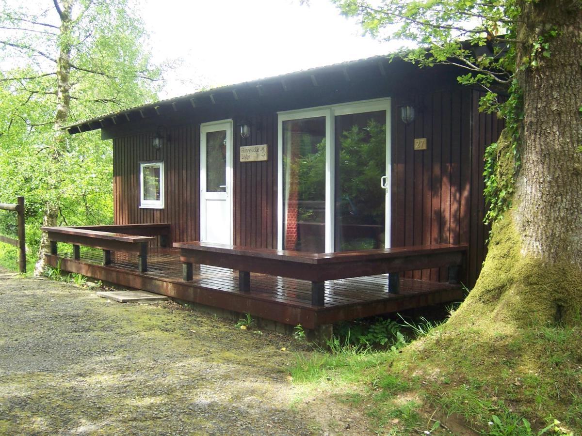 Honeysuckle Lodge Set In A Beautiful 24 Acre Woodland Holiday Park Newcastle Emlyn Buitenkant foto